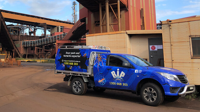 We're dedicated to your pest control needs